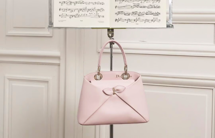 The Dior Cigale Bag