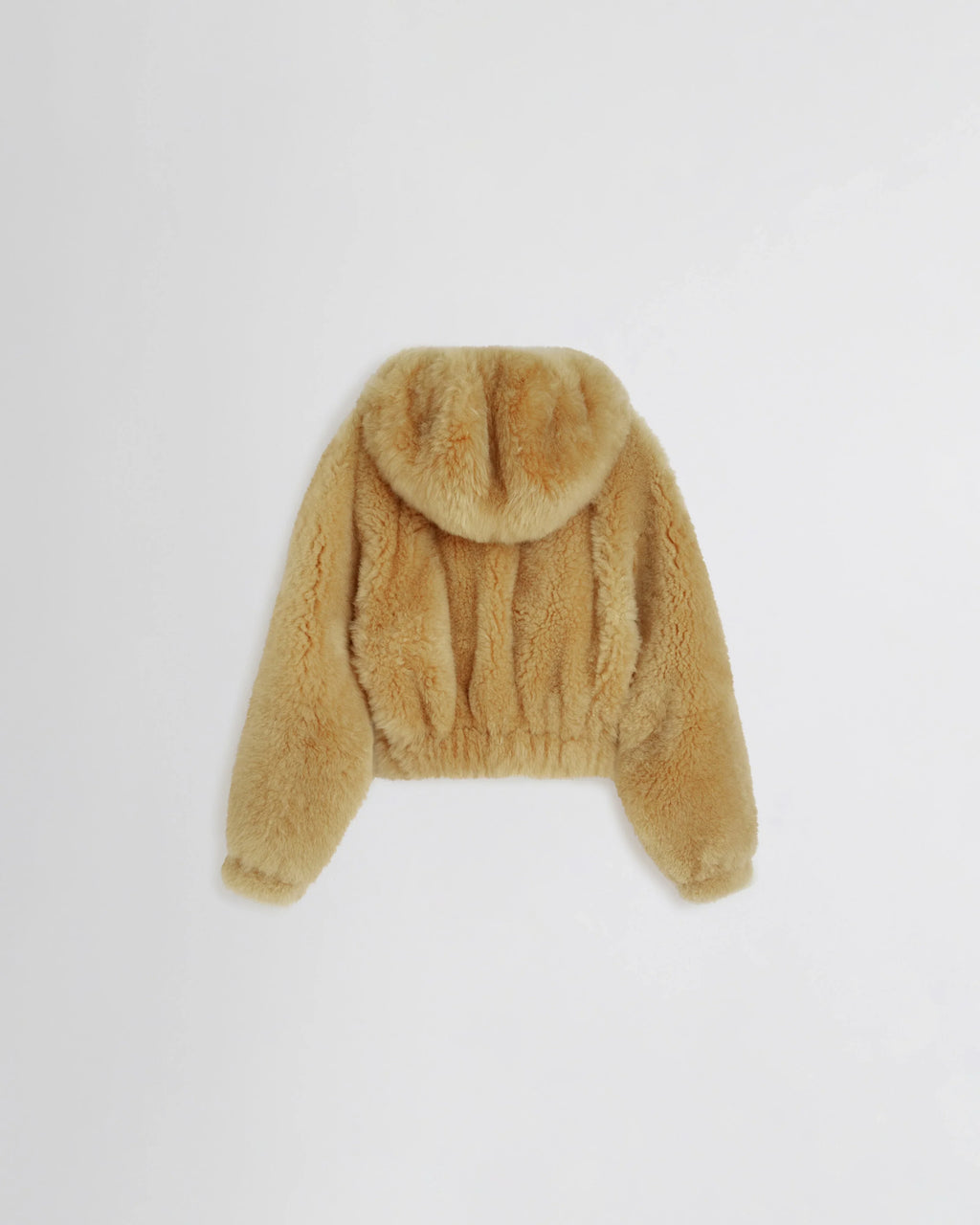 Super Teddy Hoodie
