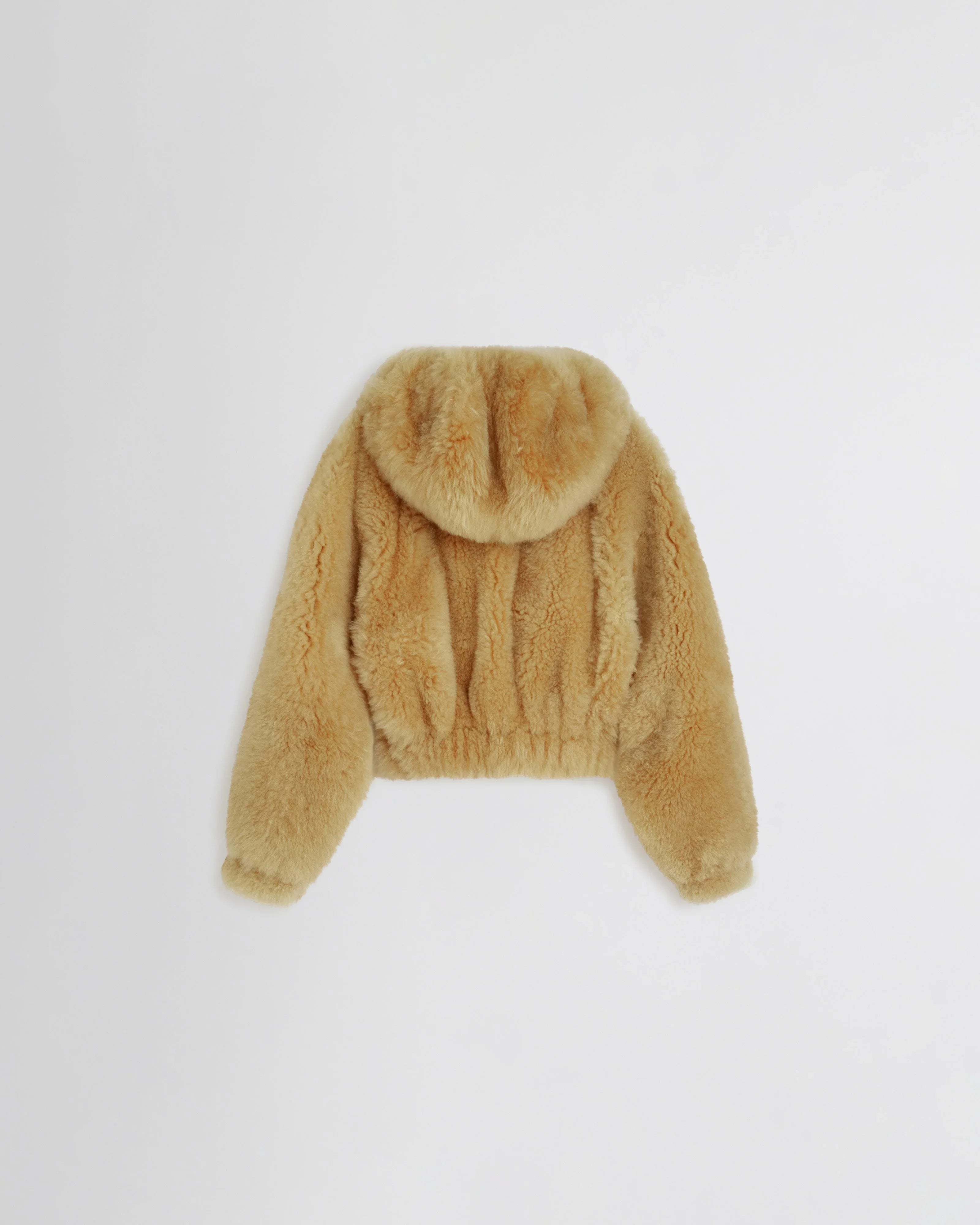 Super Teddy Hoodie