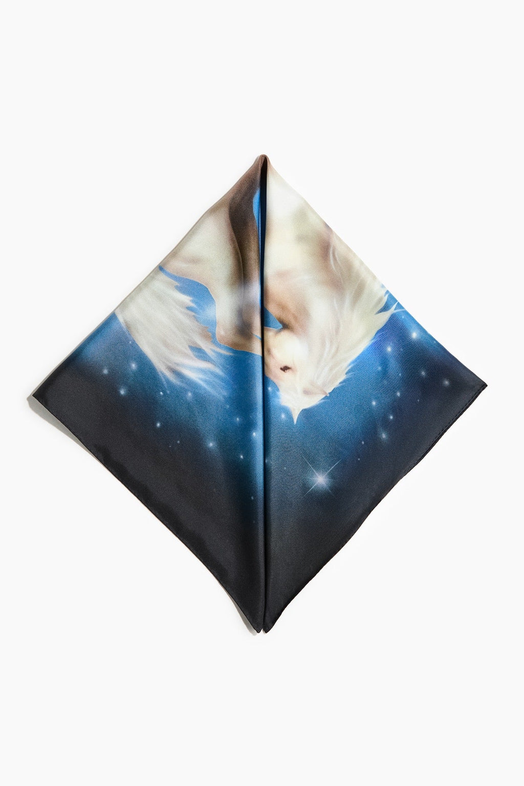 Stella McCartney x H&M Printed Silk Scarf