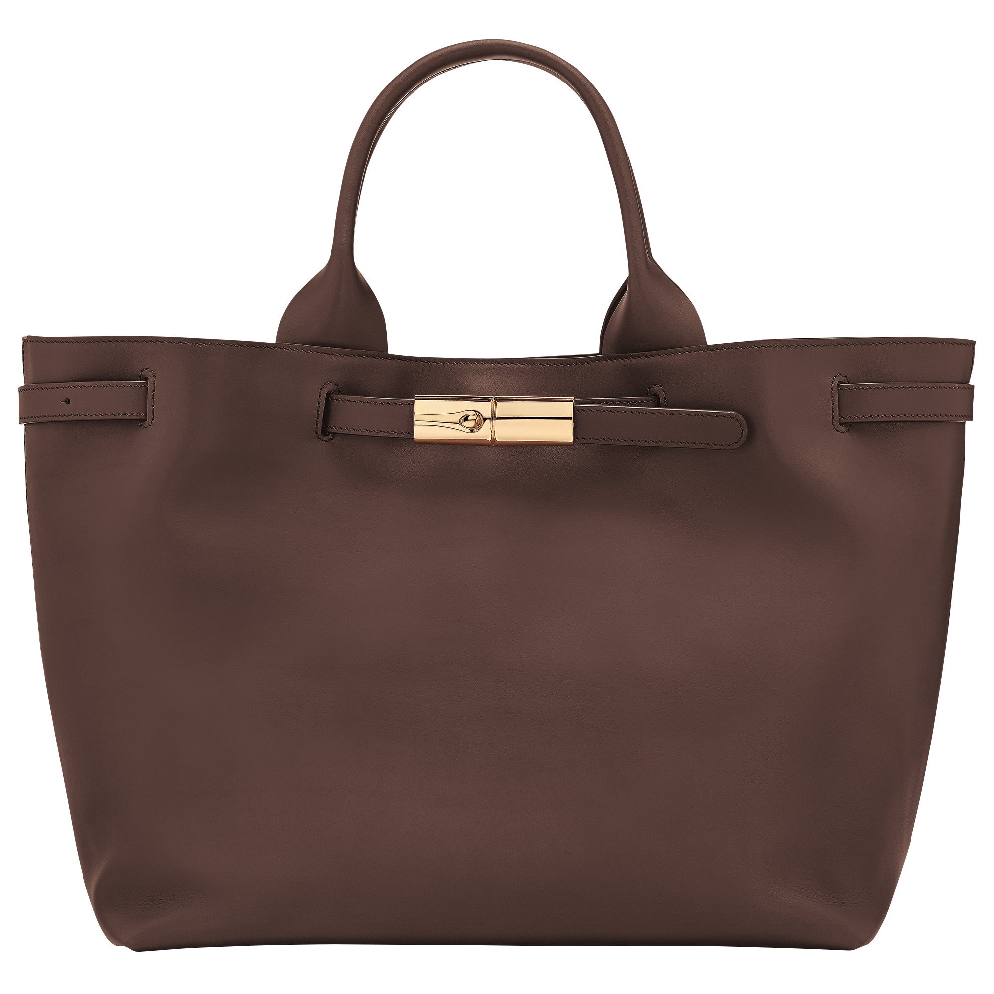 Longchamp Le Smart L Handbag in Mocha Leather