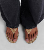 Gucci Vittoria GG Canvas Thong Sandals – Brown
