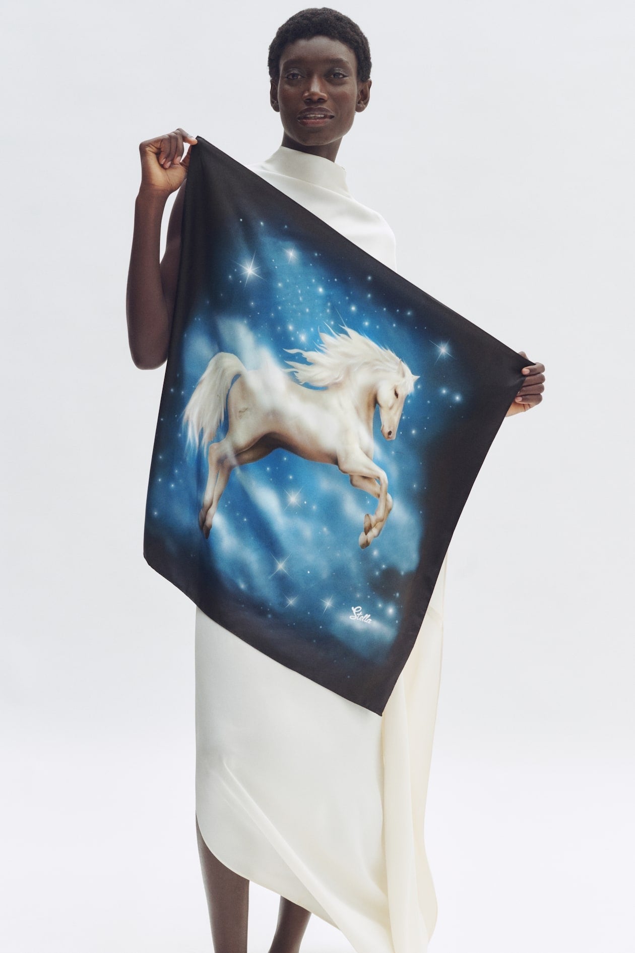Stella McCartney x H&M Printed Silk Scarf
