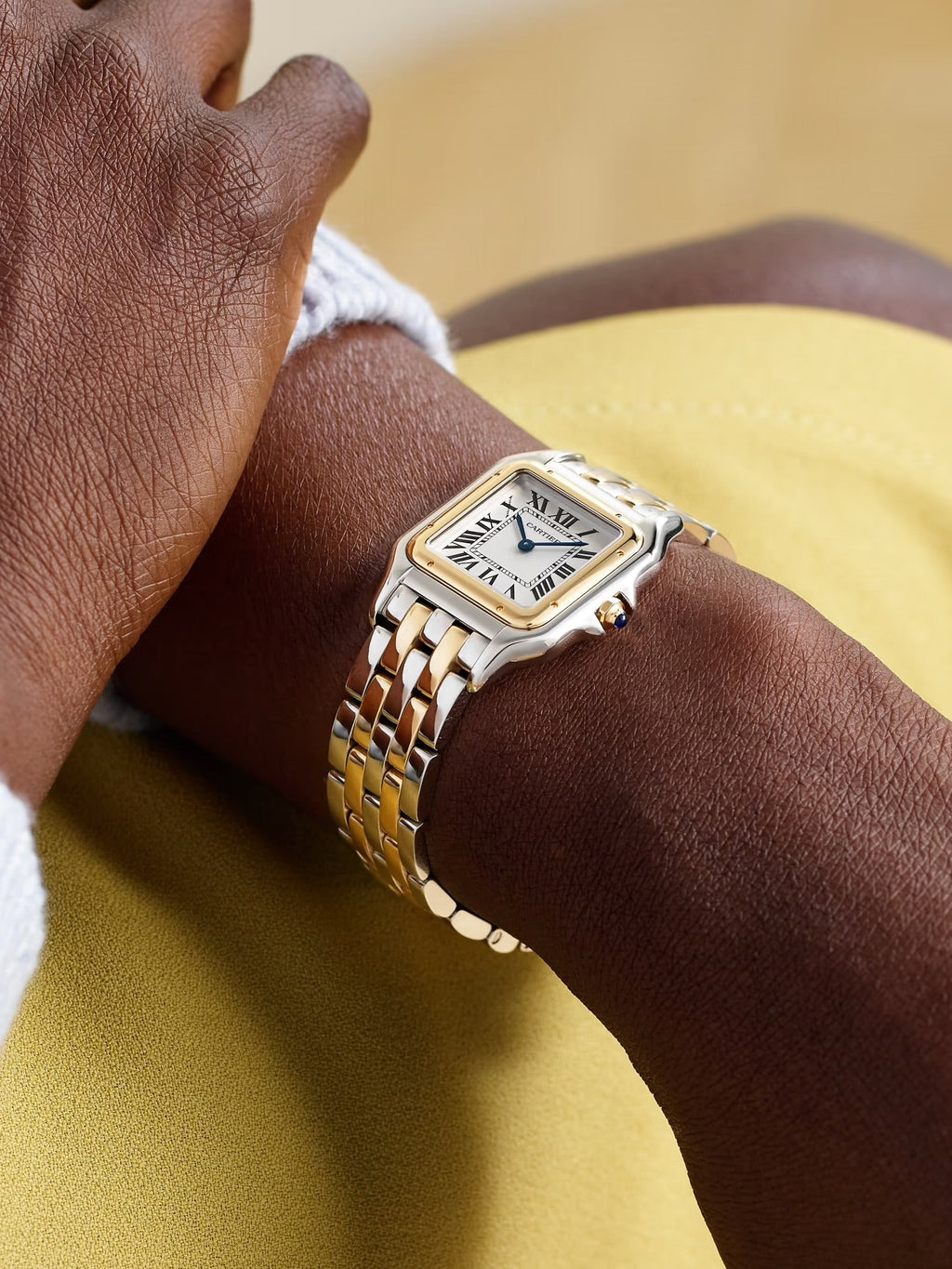 Panthère de Cartier Medium 27mm 18-Karat Gold and Stainless Steel Watch