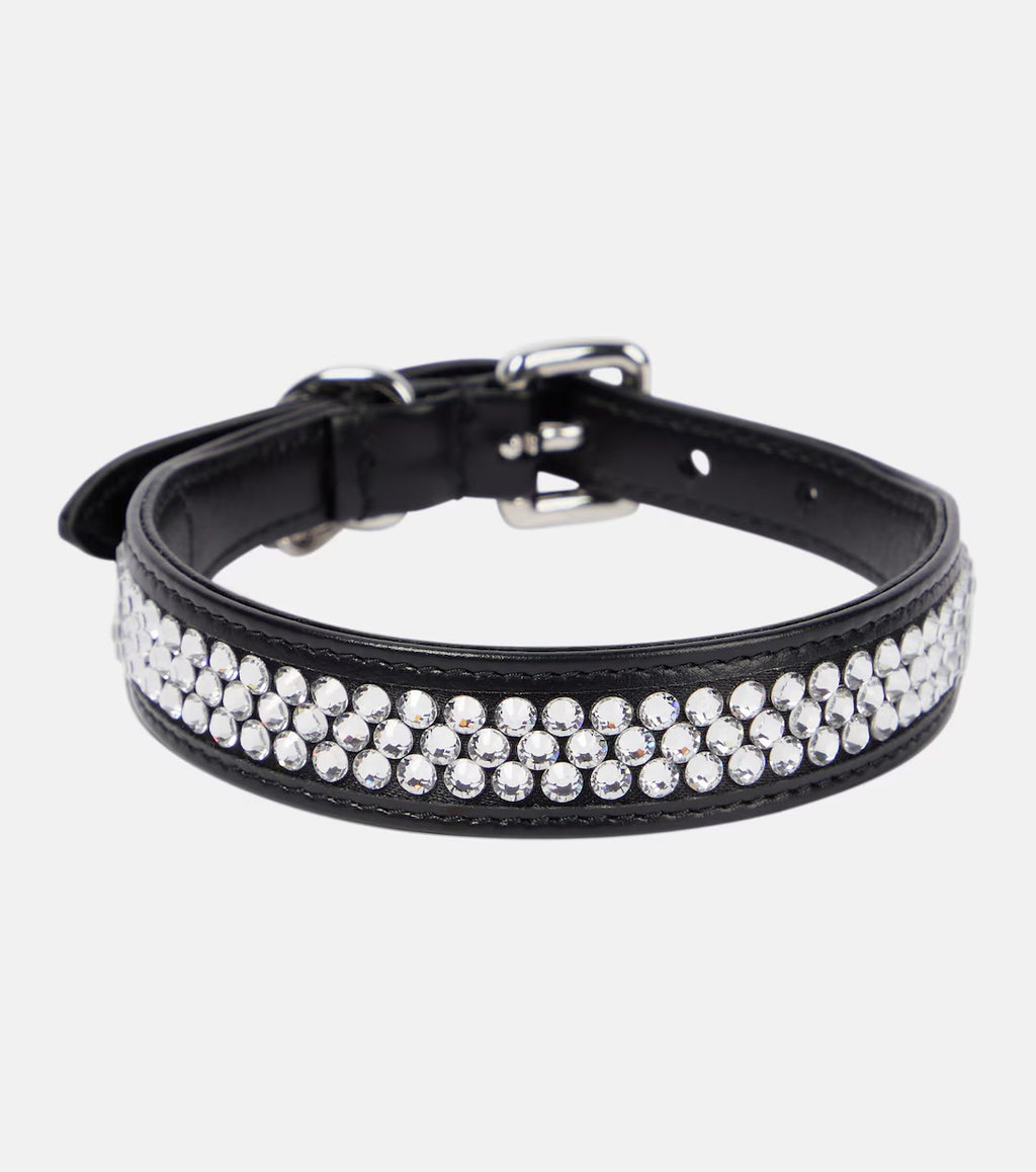 Miu Miu Embellished Leather Dog Collarcan you generate