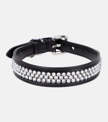 Miu Miu Embellished Leather Dog Collarcan you generate