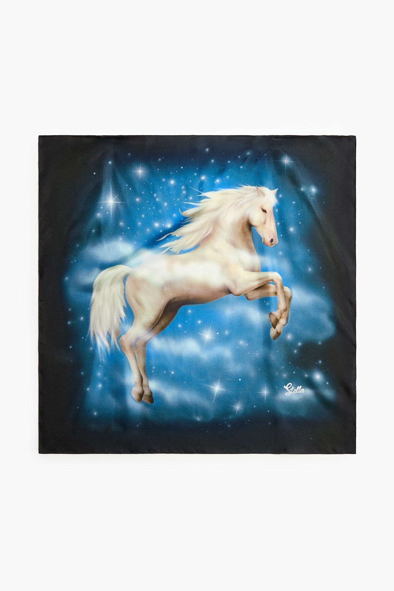 Stella McCartney x H&M Printed Silk Scarf