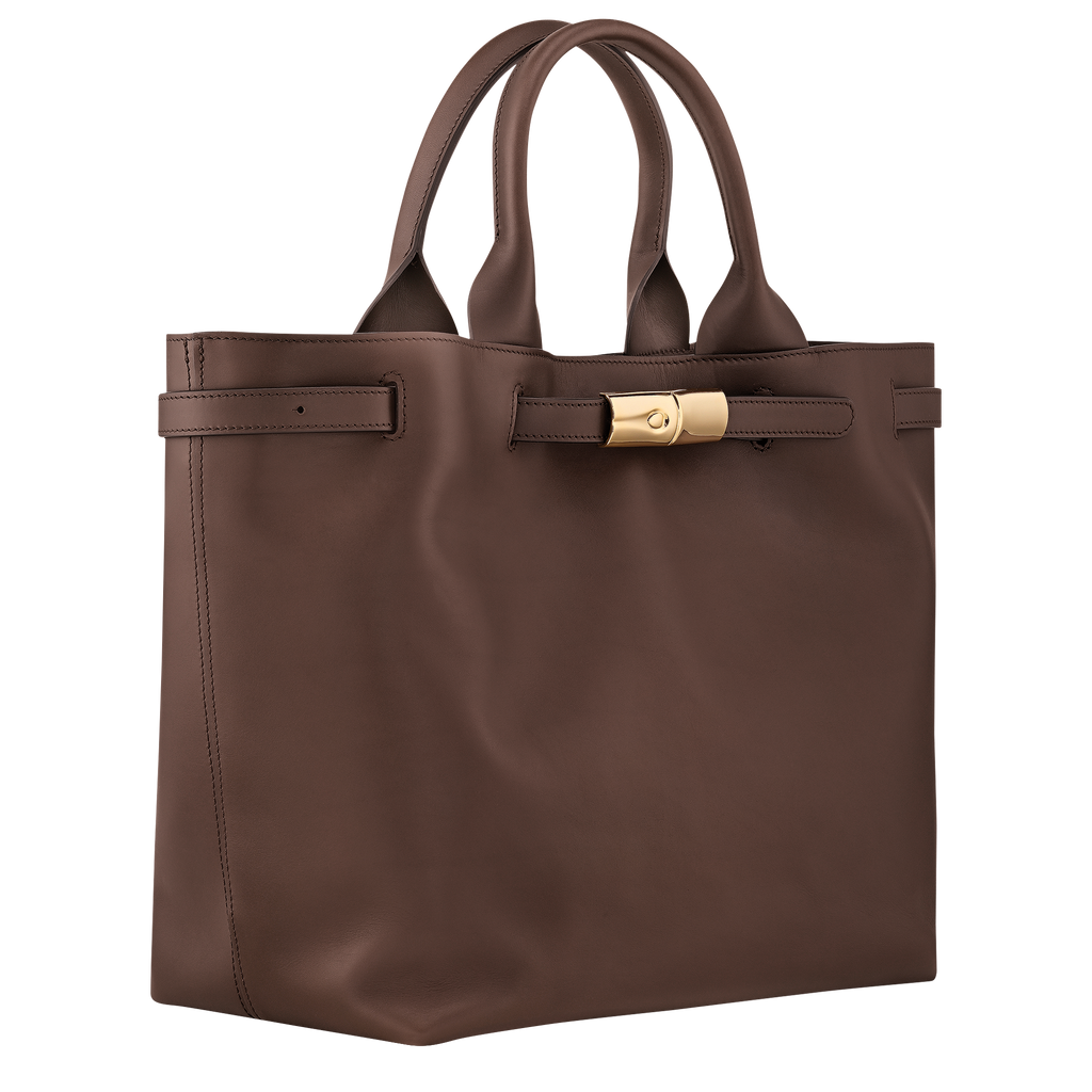 Longchamp Le Smart L Handbag in Mocha Leather