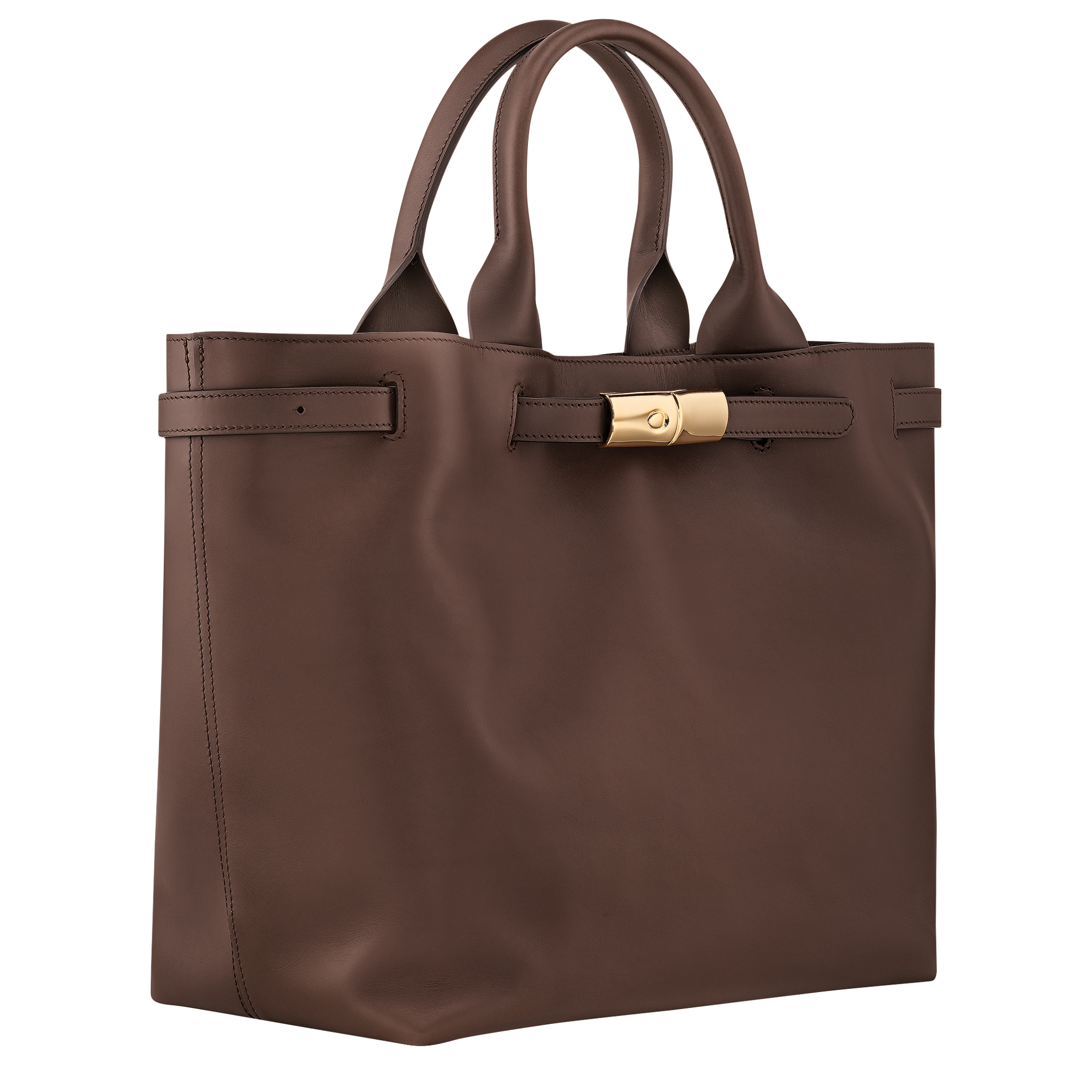 Longchamp Le Smart L Handbag in Mocha Leather