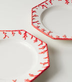 Set of 4 Ceramic Dinner Plates