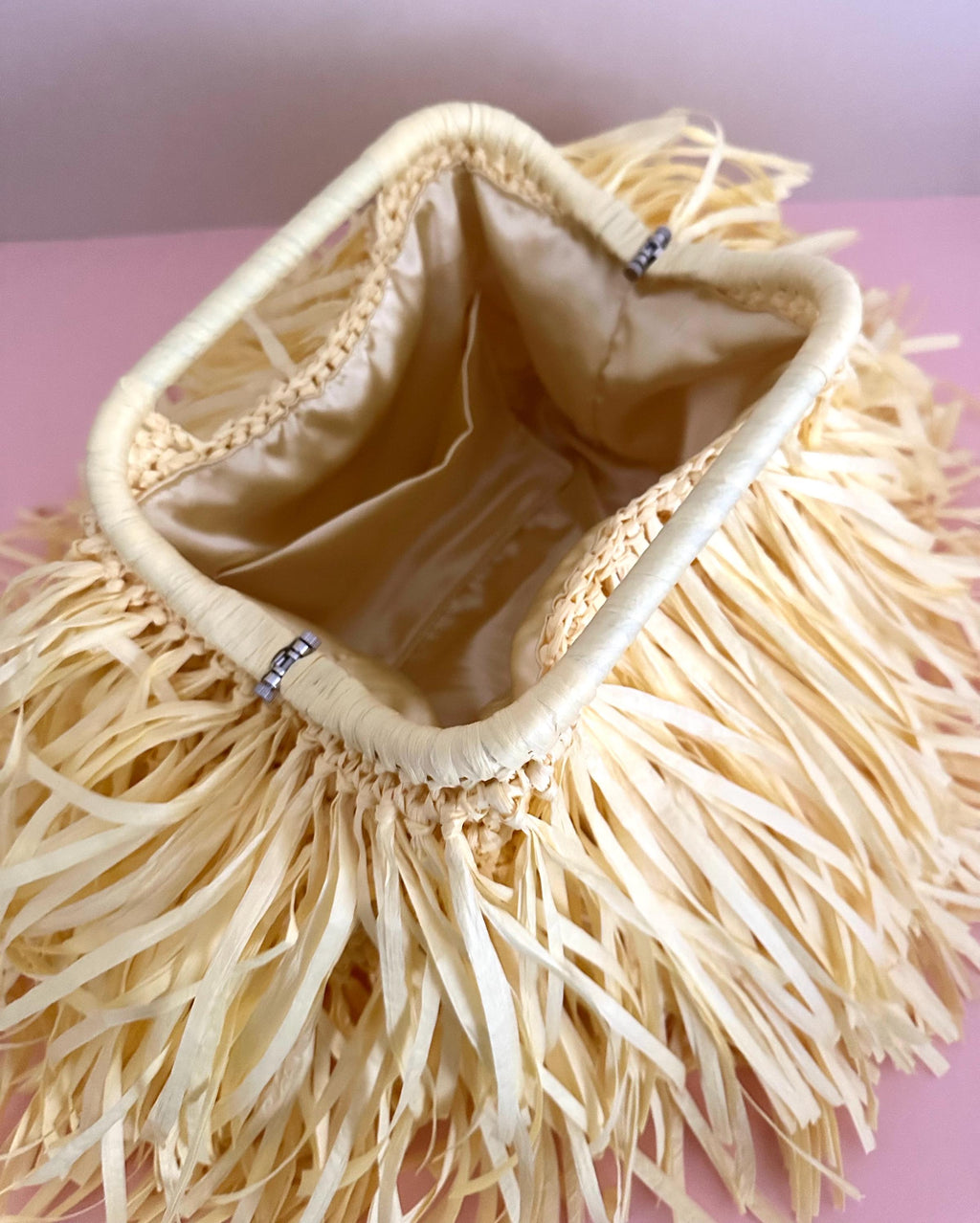 Colorful Fringe Raffia Clutch Bag