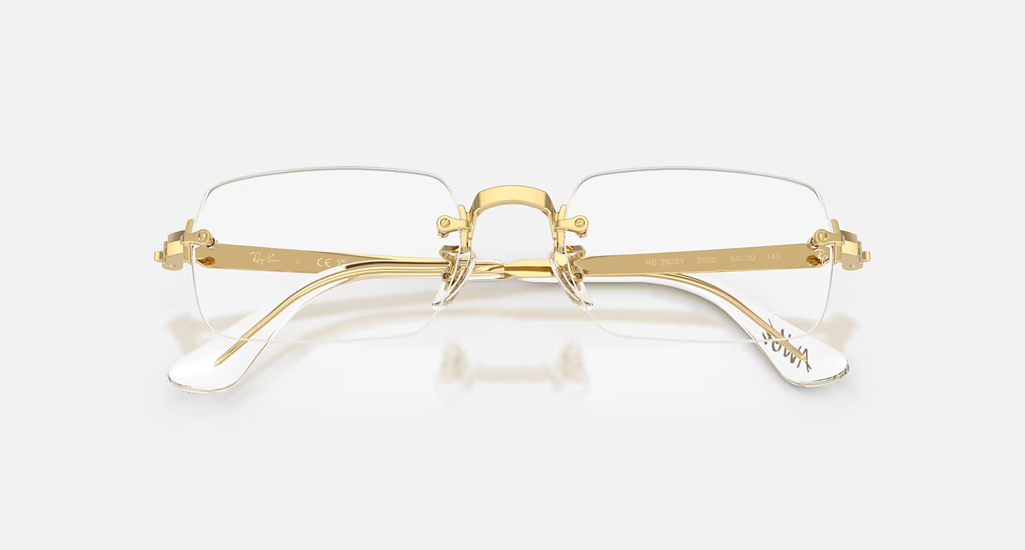 Ray-Ban RB3928V Optics by A$AP Rocky